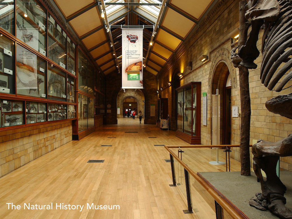 Muzeul de Istorie Naturala din Londra